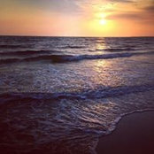 Lynn B's photo