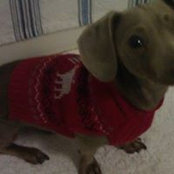 Melissa Prewitt's photo
