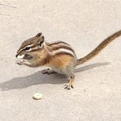 Mike Hanson's photo