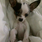 Erin Montgomery's photo