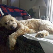 Sheryl Simon's photo