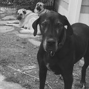 David Jones's photo