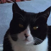 Patty Gabrisch's photo