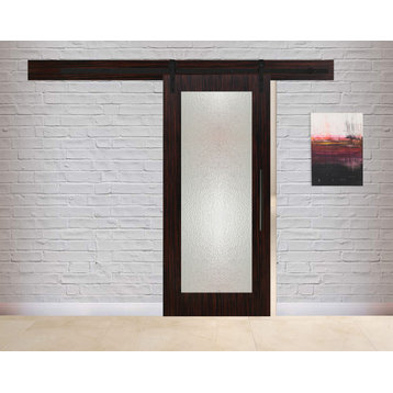 1 Lite Glass Panel Barn Door with Structured Glass Insert, 48"x84" Inches, Hammered Glass, Carbon Steel Hardware