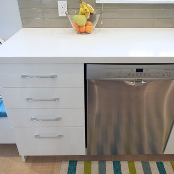Piedmont Modern Kitchen