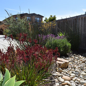 Mediterranean Dry Creek