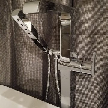 Contemporary Master Bath
