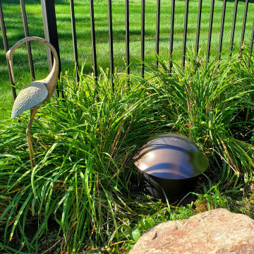 Saline, Michigan - Pool Landscape Music