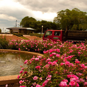 Downtown Rose Garden