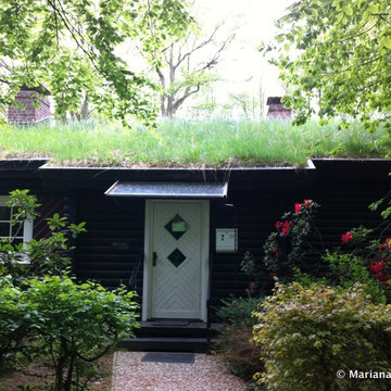 Wohldorf-Ohlstedt green roof near Hamburg, Germany