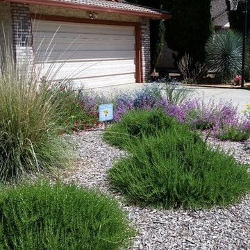 A certified habitat garden.