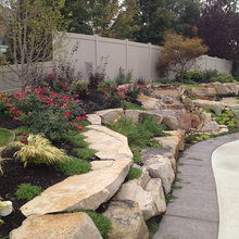 Backyard ideas