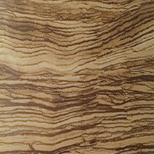 Wall & Floor