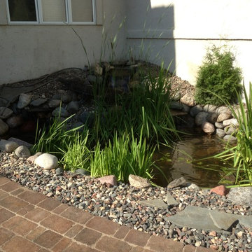 Koi Pond