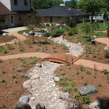 rain garden