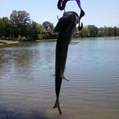 Ryan's photo