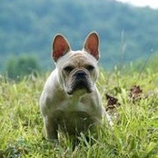 Jayne Parkins's photo
