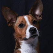 Nancy Beckett's photo