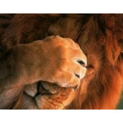 Karine Provost's photo