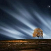 Bianca Goossen's photo