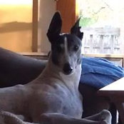 Juanita Garside's photo
