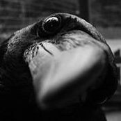 Patrick Thomas's photo