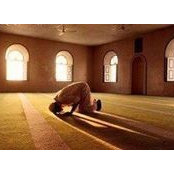 Ali Alaa's photo
