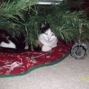 EmLee Dooley's photo