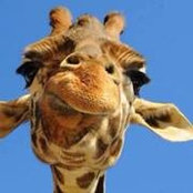 James Duffs foto