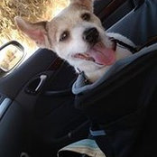 Edwina Williams's photo