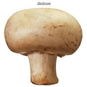 Martin Szalay's photo