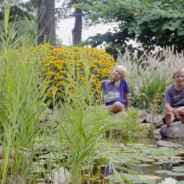 Ponds and Streams