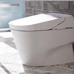 TOTO Neorest 700H Elongated Toilet/Bidet  MS992CUMFG - Toilets