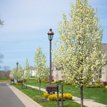 Old Saybrook Community Overview - New Home Community - Columbiana, Ohio