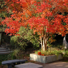 July 2023 Backyard Landscaping