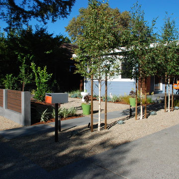 Contemporary Bungalow Front Yard