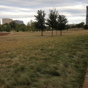 George Bush Library Goes Organic!