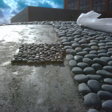 Water Feature