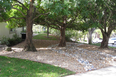 Inspiration for a huge drought-tolerant and shade side yard gravel landscaping in San Francisco.