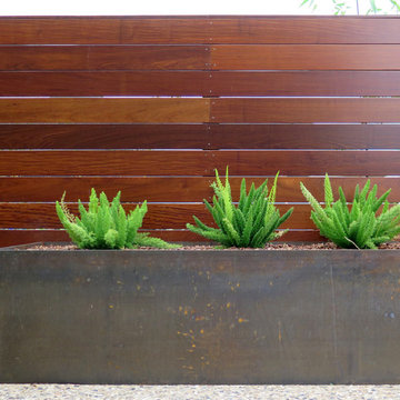 Montgomery entry garden