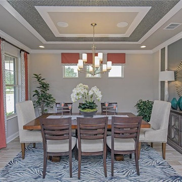 M/I Homes of Orlando: Retreat at Lake Bosse - Alameda Model
