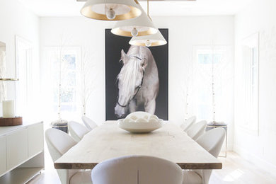 Kitchen/dining room combo - contemporary light wood floor kitchen/dining room combo idea in Other with white walls