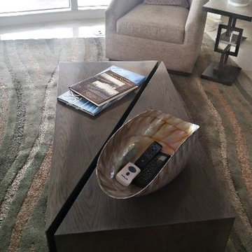 Contemporary penthouse