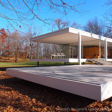Patio Structure & Workshop