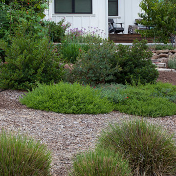 Resilient Landscapes with California native plants