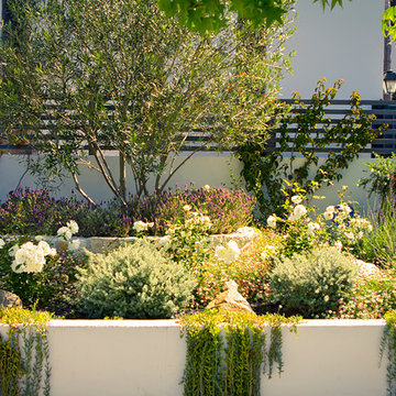 Curb Appeal Sets The Tone.