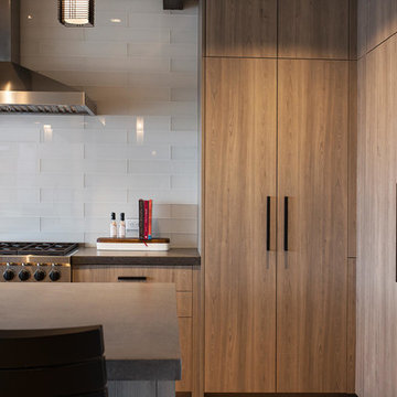 Ski In Ski Out Contemporary home