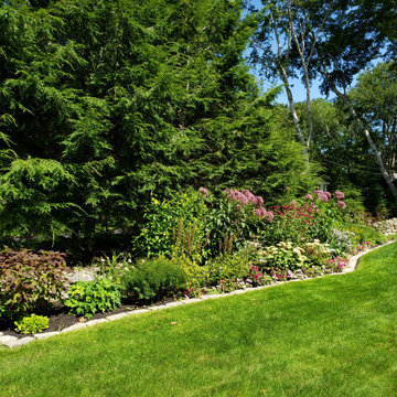 Design around existing trees