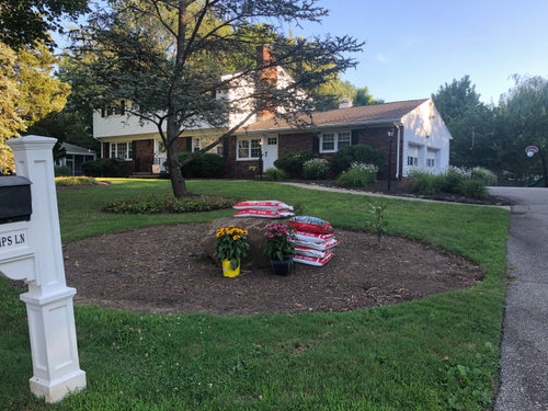 Design advice for front yard around a large rock