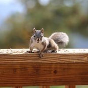 Karen Piper's photo